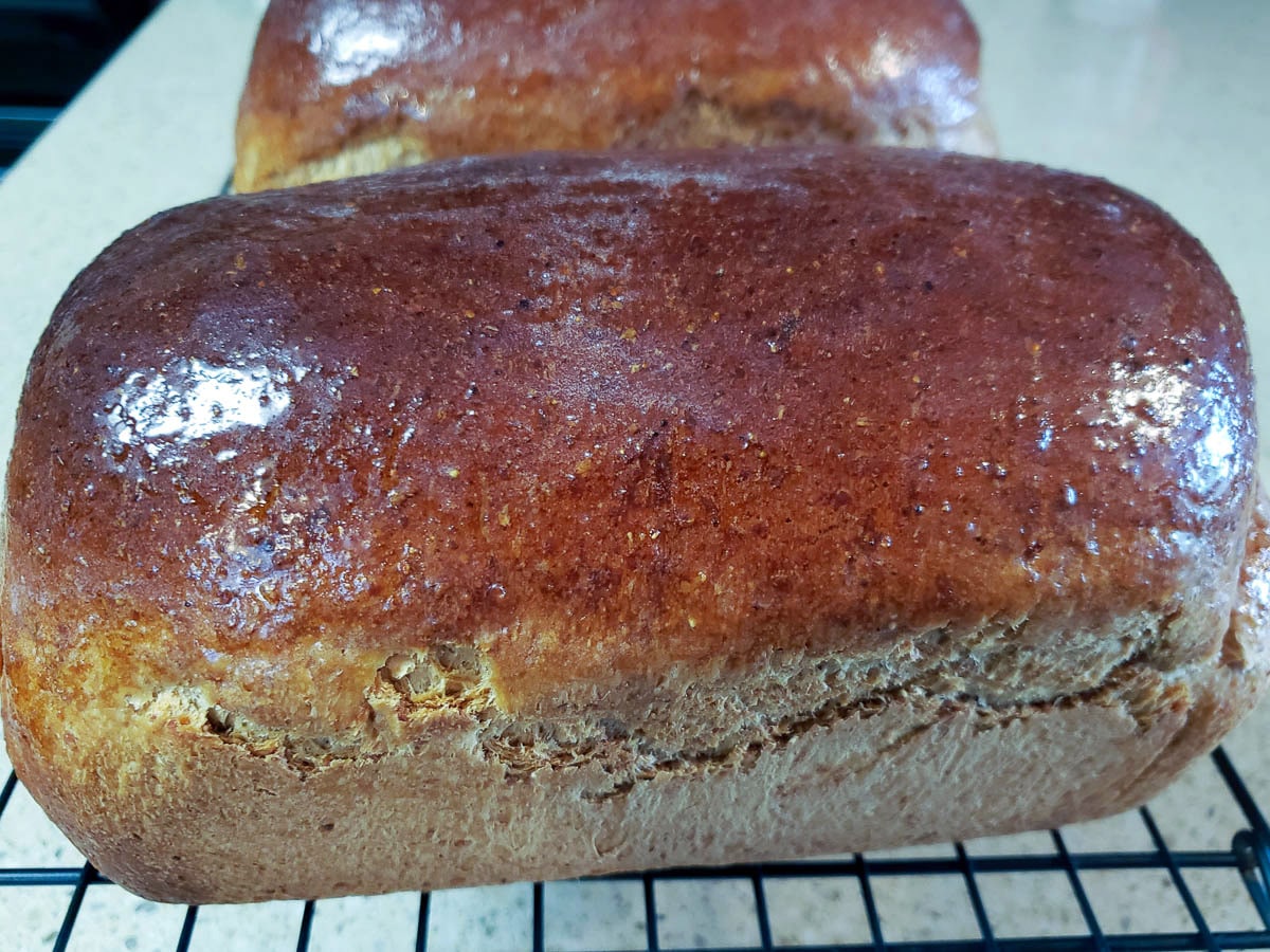 baked molasses brown bread with buttered top on cooling rack