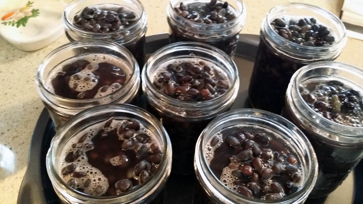 black beans and liquid in canning jars