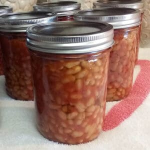 canned pork and beans