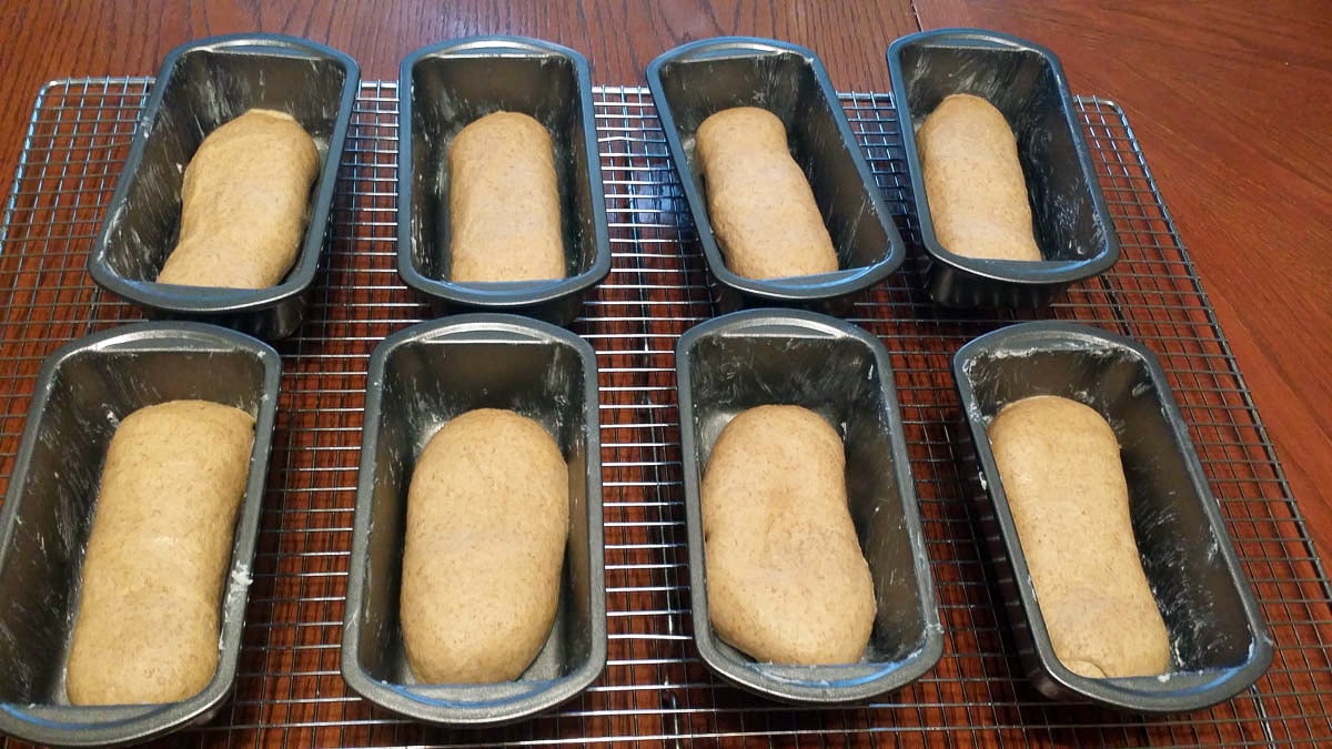 bread dough in mini loaf pans