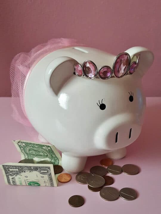 piggy bank and money