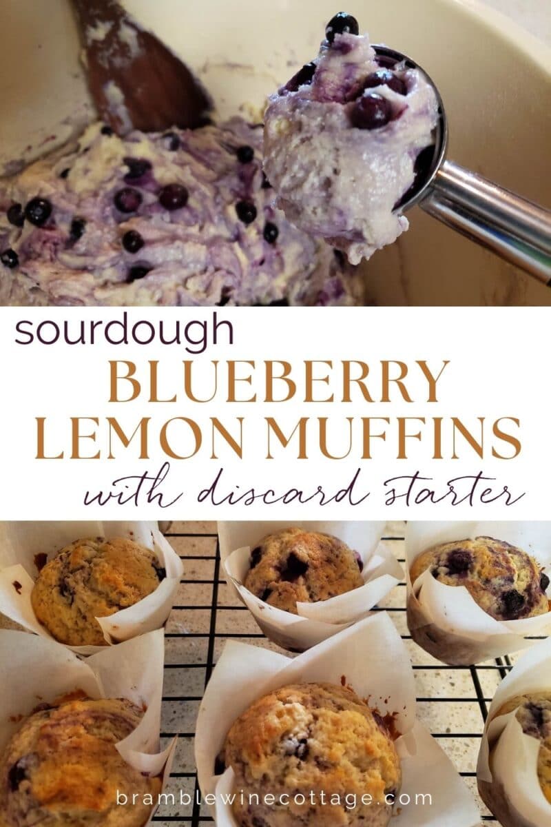 sourdough blueberry lemon streusel muffins