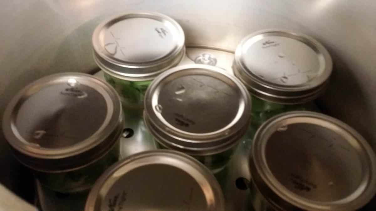 jars with lids double stacked on pressure canner