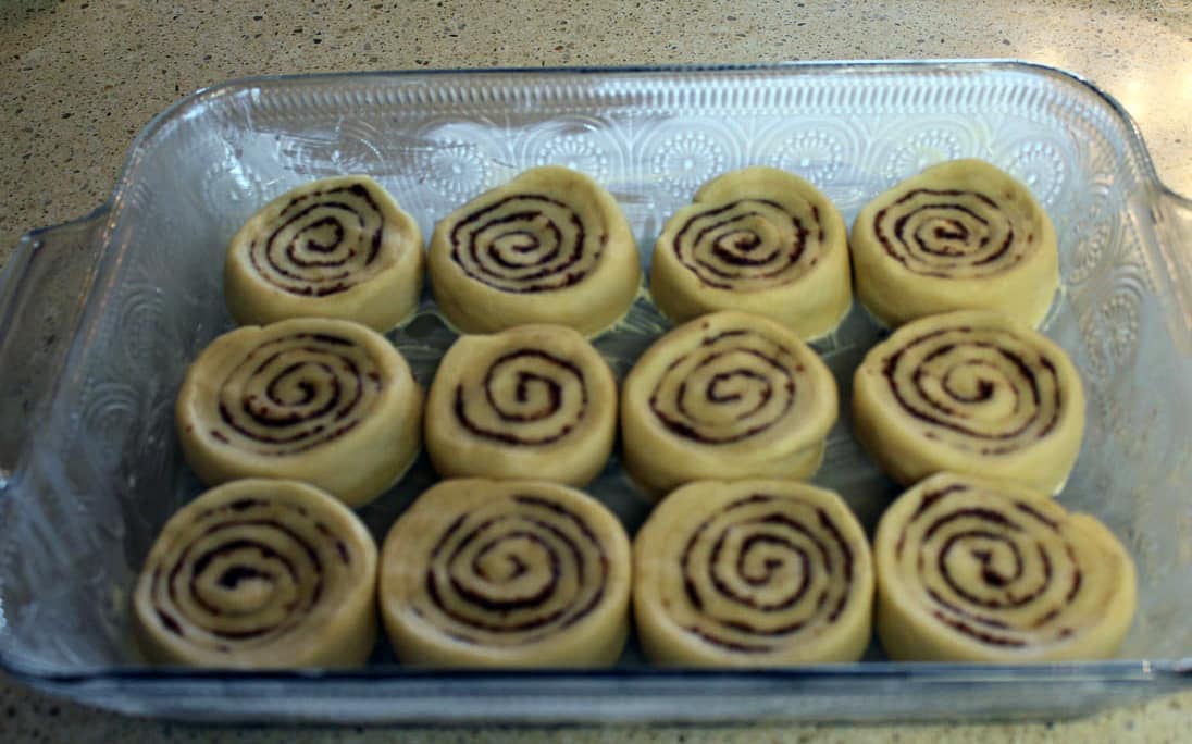 sourdough cinnamon rolls in pan on counter