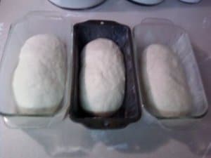 Bread dough in baling pans.