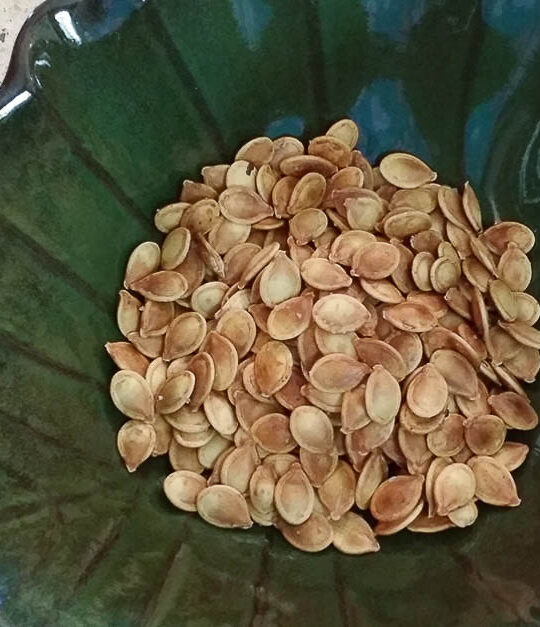 Roasted pumpkin seeds in green leaf bowl.