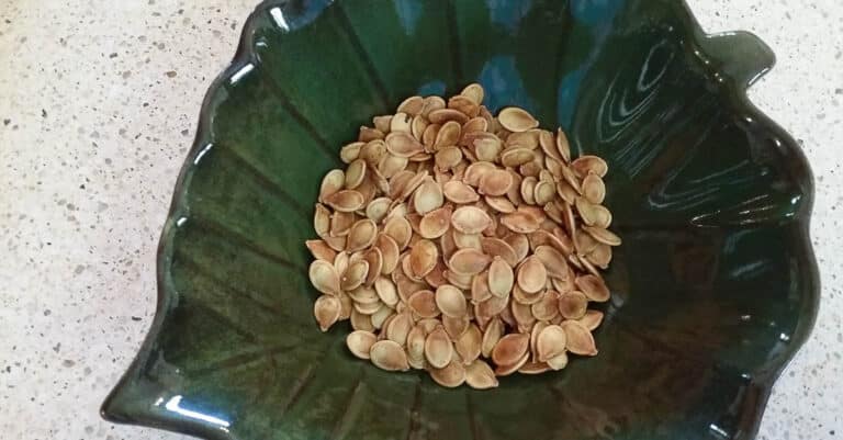 Roasted pumpkin seeds in green leaf bowl.